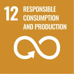 SDG 12: Responsible Consumption and Production